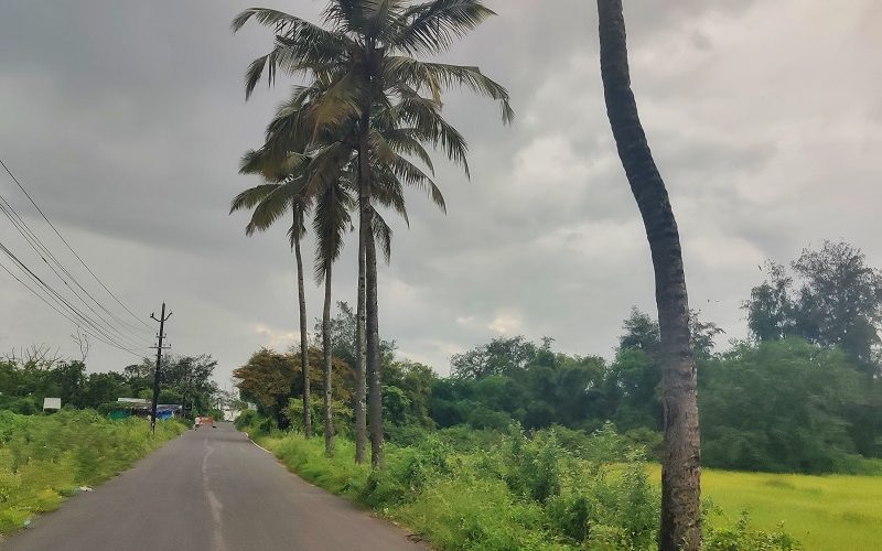 RoadTripping in Goa